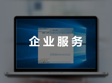 企業(yè)服務(wù)